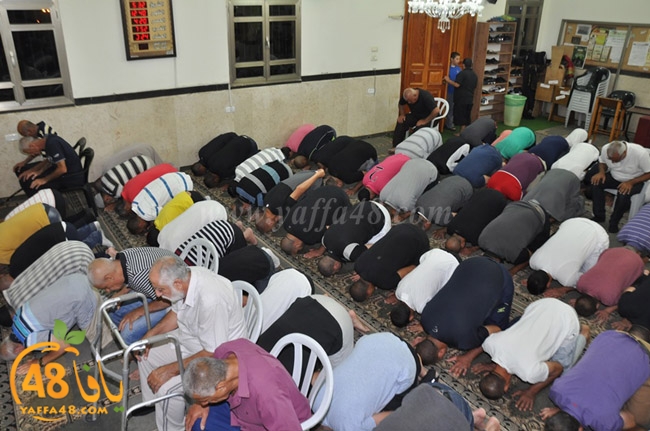 traw7 jabalayaua (25).JPG